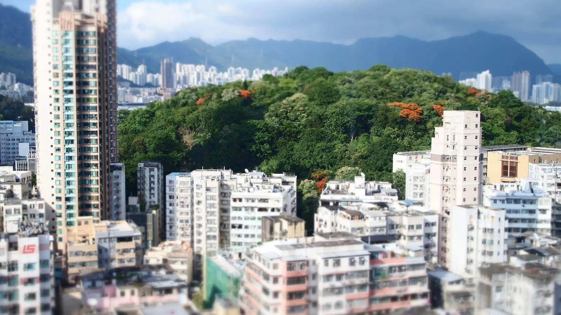 Minimal Hotel Culture Kowloon  Cina
